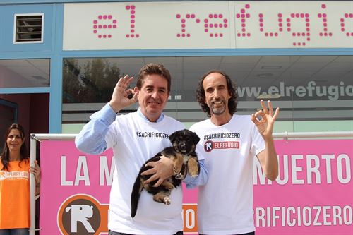 García Montero contra del sacrificio de animales abandonados
