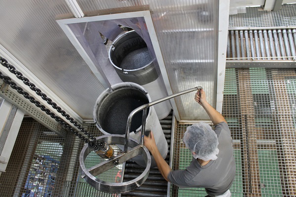 Valorización en biorrefinerías de hollejos