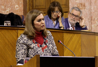 La Junta ‘afirma’ que en Andalucía no se está utilizando la fractura hidráulica para extraer gas