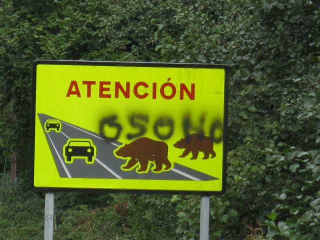Asturias. El furtivismo sigue campando por los valles del Oso