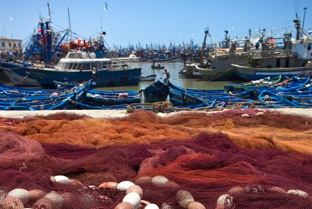 El Ministerio inicia un expediente sancionador por presunta pesca ilegal contra los propietarios y gestores de dos buques