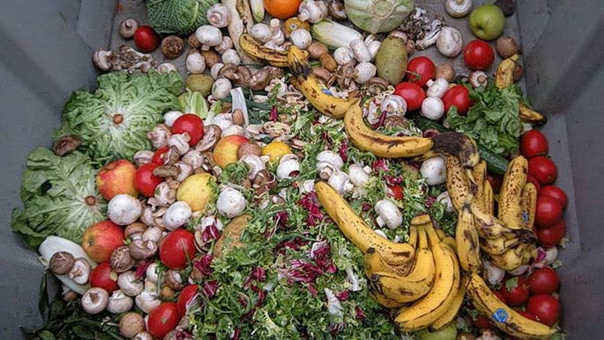 Despilfarro de comida o la ‘estupidez’ del ser humano