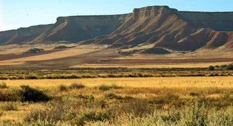 XX Aniversario de la Reserva Ornitológica de El Planerón en Belchite