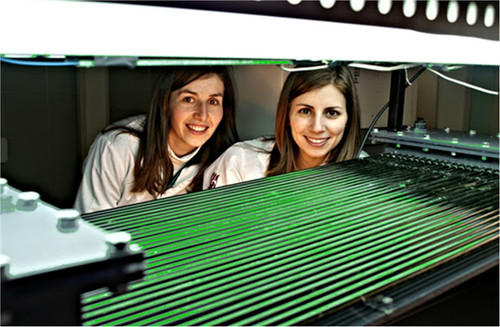 Buscando nuevas vías para revalorizar el biogás