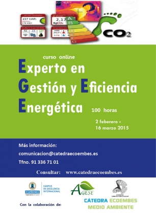 Última oportunidad para inscribirte en el curso de Experto en Gestión y Eficiencia Energética