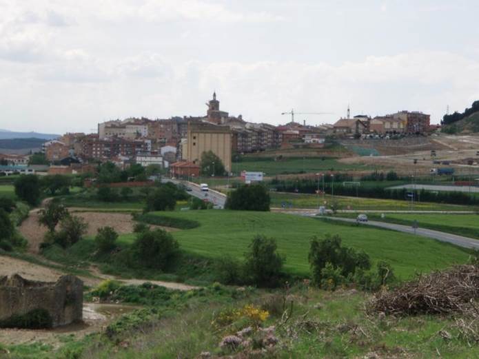Navarra intentará mejorar la biodiversidad de los terrenos agrícolas de Viana