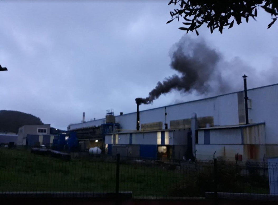 Asturias. Aumenta la contaminación en el entorno de Macua