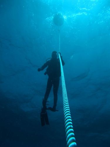 Boyas en la Reserva Marina de La Palma para favorecer el turismo de buceo