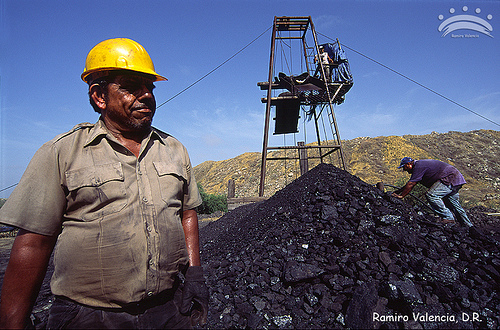 WWF reaprueba las ayudas al carbón y aplaude las condiciones para edificar en España