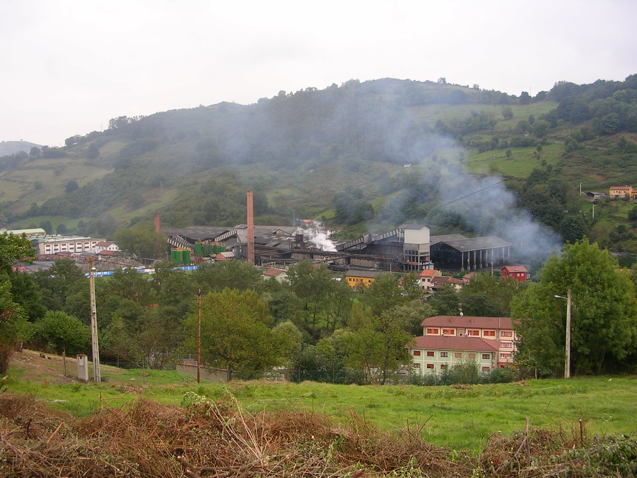 Asturias. El nuevo Principado legaliza las irregularidades de Industrias Doy