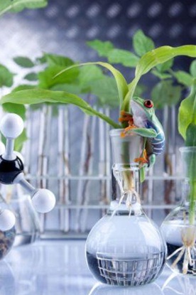 Tú futuro laboral está en la Prevención de Riesgos Laborales