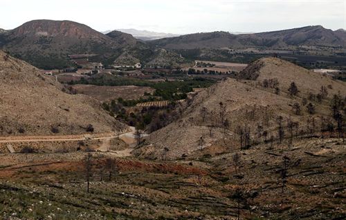 Restauración de la zona afectada por el incendio de Hellín (Albacete)