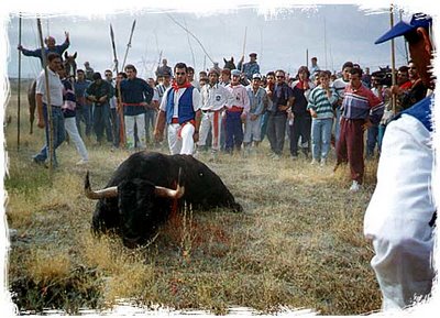 La Asociación Parlamentaria en Defensa de los Animales tacha de atrocidad el espectáculo del Toro de la Vega