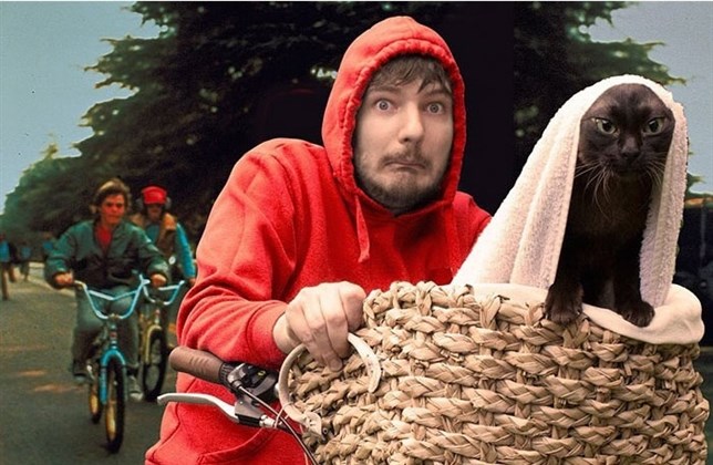 Gatos de ‘pelicula’