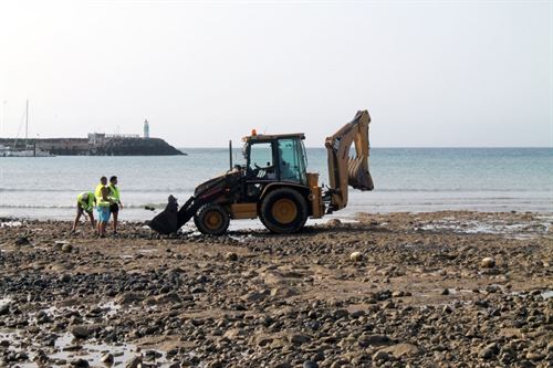 Medio Ambiente cofinanciará la regeneración de La Playa del Castillo (Fuerteventura)