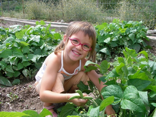 Calentamiento global La agricultura ecológica ayuda a detener la crisis climática