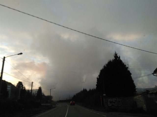 El Servicio de Medio Ambiente del Ayuntamiento de Gijón tramitó 35 incidentes ambientales en el último trimestre