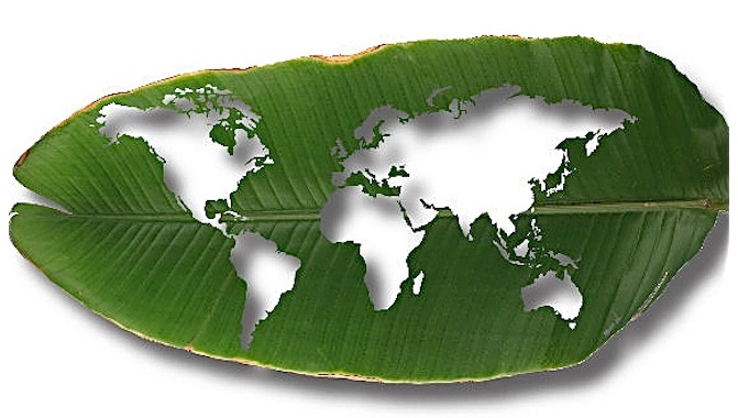 Tijeretazo ‘brutal’ al Fondo Verde de la ONU