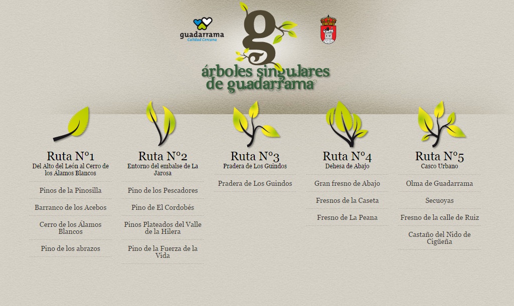 El municipio de Guadarrama cuenta con cinco rutas de árboles singurales