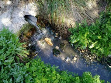 Ecologistas en Acción de Valencia presenta una denuncia ante la CHJ por un vertido de aguas residuales en Montroi