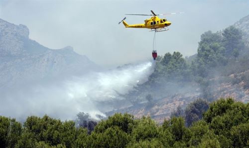 Más de 2.900 fuegos forestales arrasaron nuestros bosques hasta noviembre