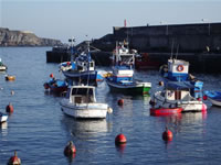 Apuesta por la sostenibilidad y la diferenciación de la pesca artesanal ante la reforma europea del sector