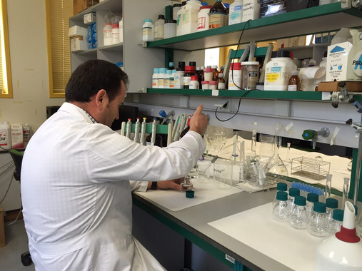 Innovadoras cápsulas con materiales biodegradables controlan los herbicidas en los cultivos