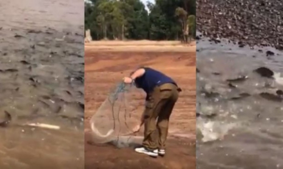 Estos pescadores salvaron la vida a centenares de peces (ver VIDEO)