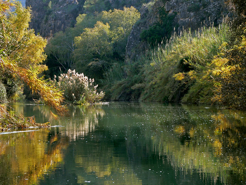 Nace una plataforma para frenar el proyecto del MARM y la CHS de entubamiento del río Segura