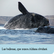 Aldana y las ballenas