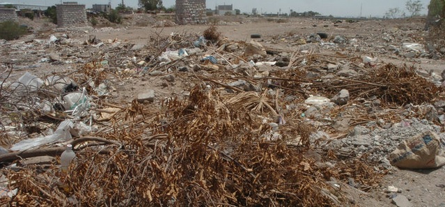 Alertan sobre costo de degradación verde