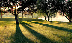 El Club de Golf de La Herrería es un ejemplo de gestión verde