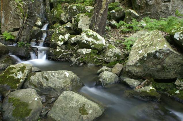 Unas obras en la cabecera del Guadalmesí interrumpen su caudal ecológico