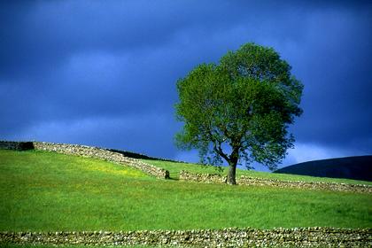 Perito judicial en medio ambiente