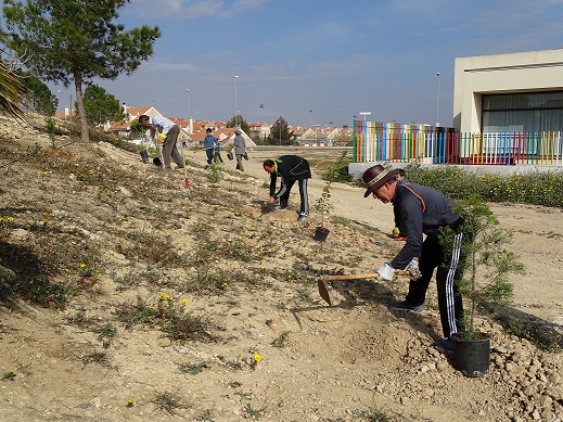 Nuevo bosque urbano autóctono en Cartagena