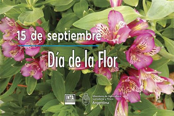 Día de la Flor 2021