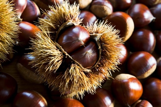 La cáscara de castaña elimina contaminantes
