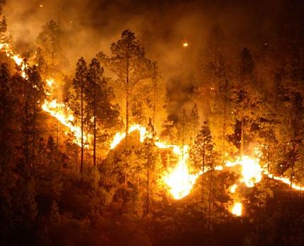 La Junta aplica nuevas tecnologías de la información para mejorar la gestión de incendios forestales