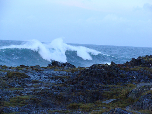 La Xunta estima que en dos meses finalizará la retirada de la madera tirada por el ciclón Klaus en los montes gallegos