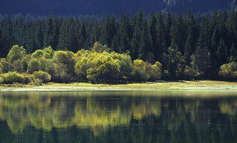 Un estudio de la EPA revela amplia contaminación de peces en lagos y embalses estadounidenses