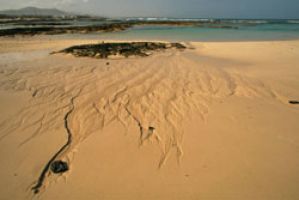 Playa y voluntariado