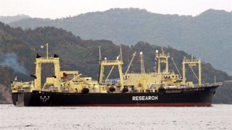 Latinoamérica  hace público su rechazo a la continuidad de los programas de caza de ballenas del Gobierno de Japón