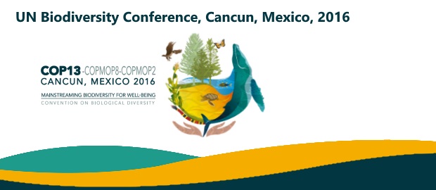 Colombia presentará visión Amazonía en la Cop 13 en Cancún
