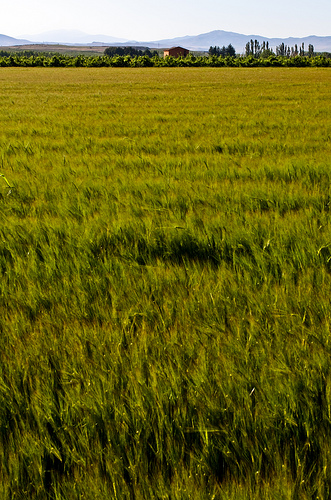 Zaragoza debe equilibrar el campo y la ciudad