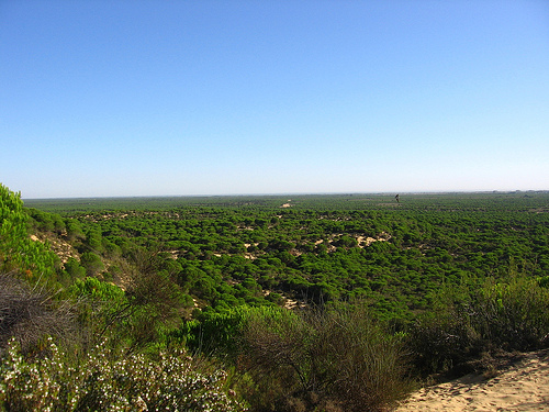 MARM finaliza obras en el entorno del Parque Nacional de Doñana por valor de 1