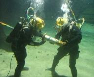 La Junta implica a buceadores de la provincia en la conservación marina del Parque del Estrecho