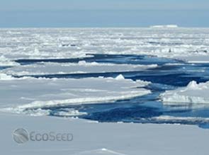 I.P.C.C. releases summary report regarding climate change