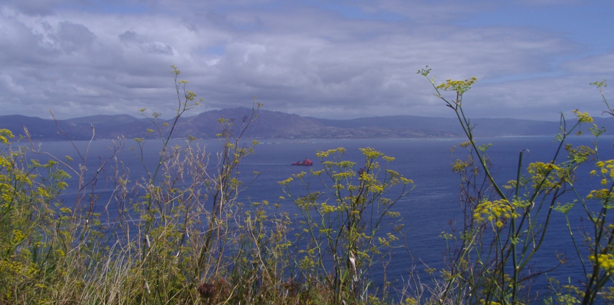 La explotación ‘salvaje’ de los recursos marinos pone en peligro la biodiversidad