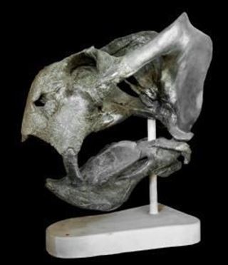 A raíz de las extinciones aparecieron la gran diversidad de vertebrados