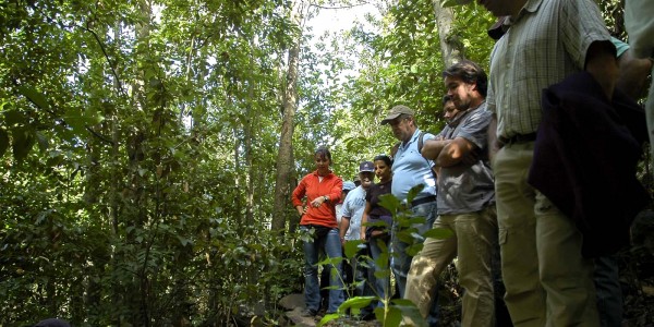 Noviembre Forestal del Cabildo de Gran Canaria